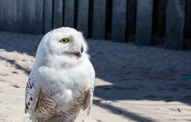 Similar image 21099194