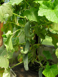 Similar image 21094757