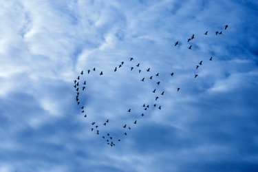 Similar image 21112465