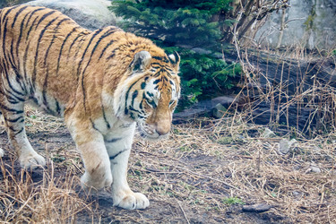 Similar image 21099295