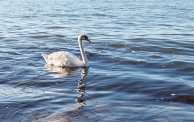 Similar image 21099298