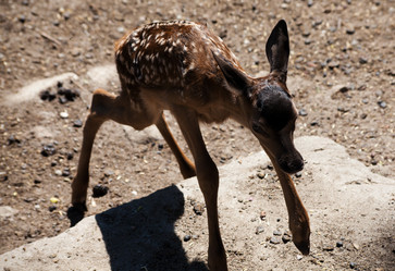 Similar image 21099300