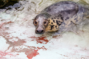 Similar image 21099304