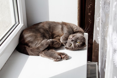 Similar image 21100573