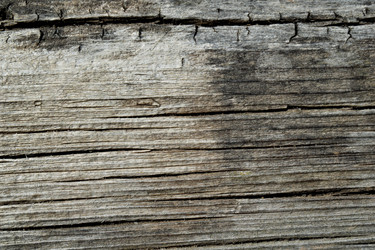 Similar image 21094759