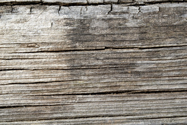 Similar image 21094761