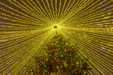 Similar image 21096569