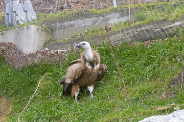 Similar image 21096585