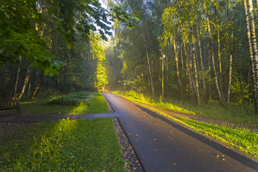 Similar image 21096593