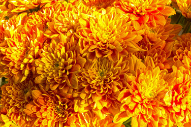 Similar image 21096595