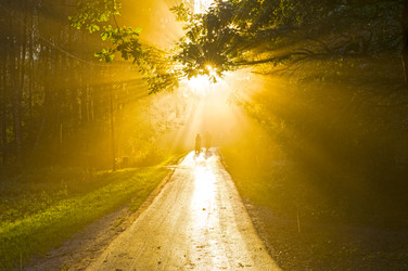 Similar image 21096596