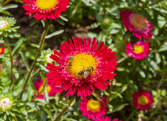 Similar image 21096670