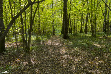 Similar image 21096671