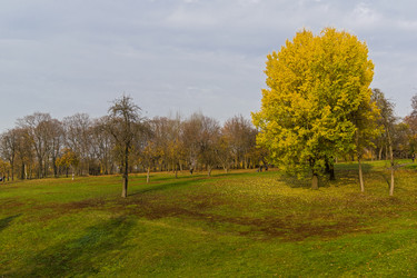 Similar image 21096673