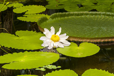 Similar image 21096676