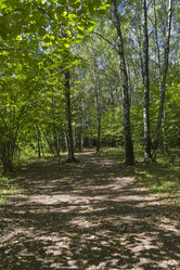 Similar image 21096681