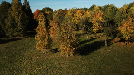 Similar image 21094778