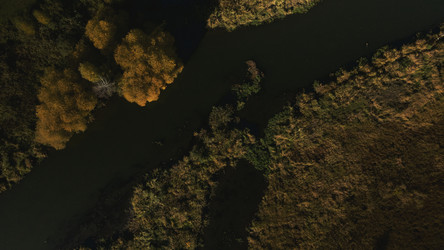 Similar image 21094779