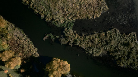 Similar image 21094782