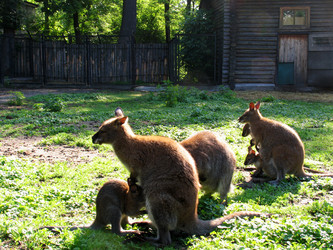 Similar image 21100582