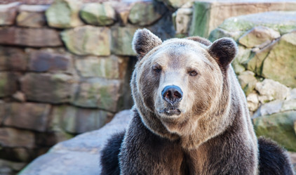 Similar image 21100588