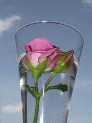 Similar image 21098237