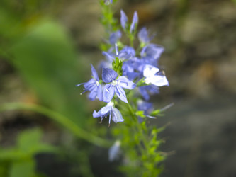 Similar image 21096372