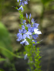 Similar image 21096373