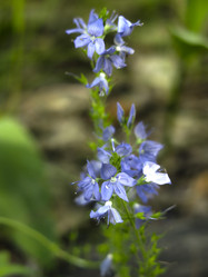 Similar image 21096374