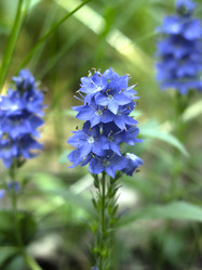 Similar image 21096375