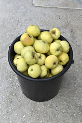 Similar image 21105196