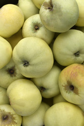 Similar image 21105197