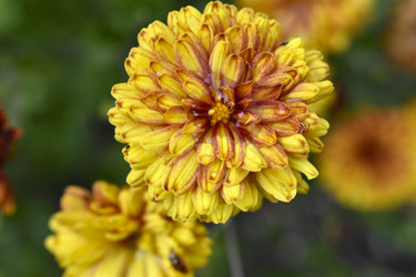 Similar image 21105201