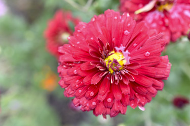 Similar image 21105133