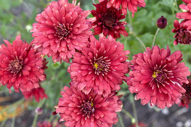 Similar image 21105135