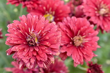 Similar image 21105136