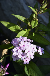 Similar image 21105139