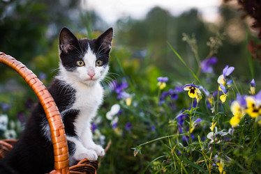 Similar image 21098239