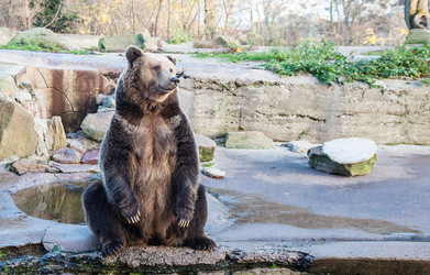 Similar image 21099384