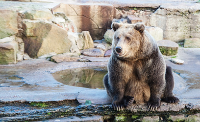 Similar image 21099386