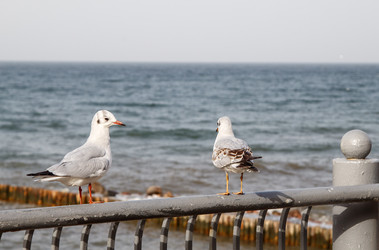 Similar image 21099389