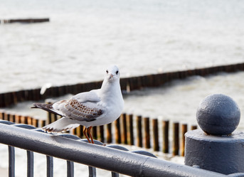 Similar image 21099392