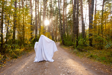 Similar image 21096763