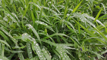 Similar image 21112468