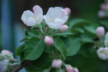 Similar image 21113273