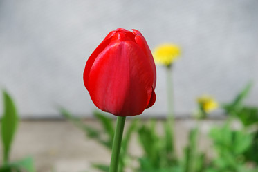 Similar image 21113274