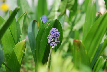 Similar image 21115831