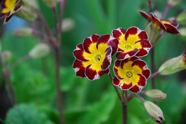 Similar image 21115833