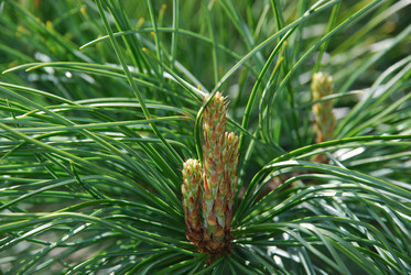 Similar image 21115835