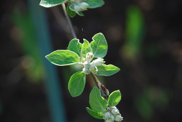 Similar image 21115838